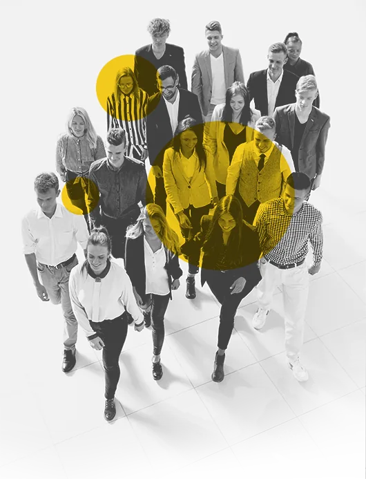 Equipo de profesionales de LinkExperto